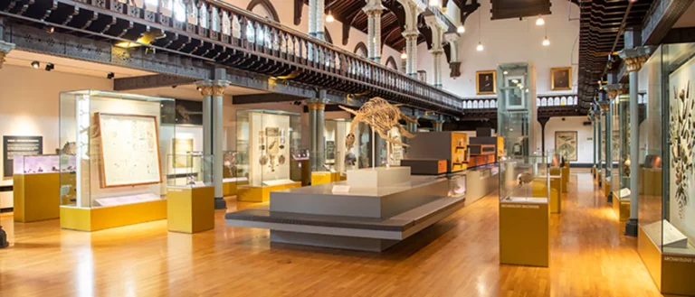 The Hunterian Museum