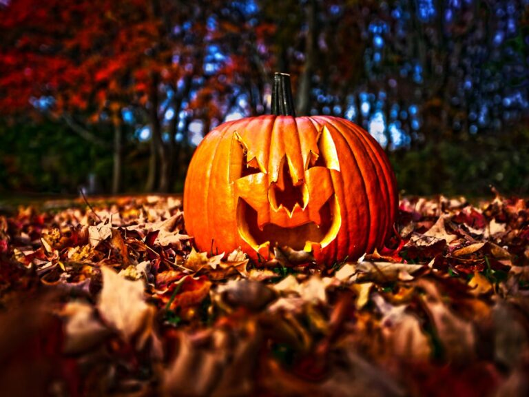 Castlemilk Pumpkin Festival