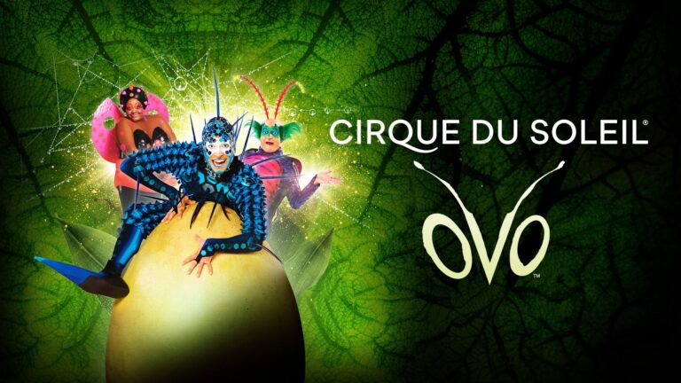 Cirque Du Soleil - OVO
