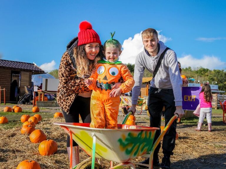 Pumpkin Festival M&Ds