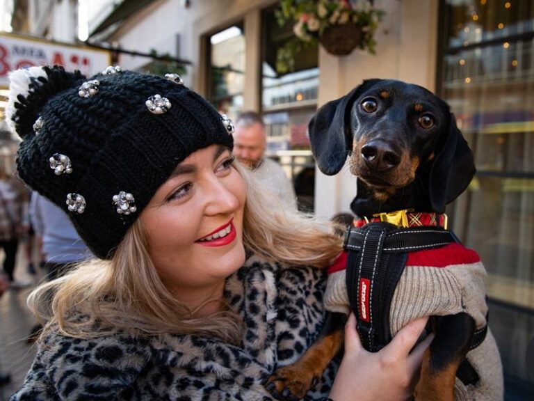 Pup up Cafe Dachshund Christmas Tour