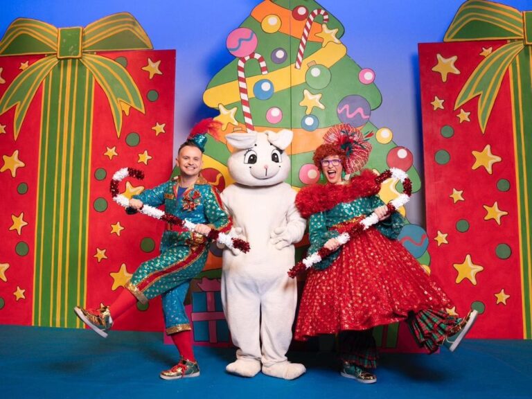 The McDougalls Fairytale Christmas Show