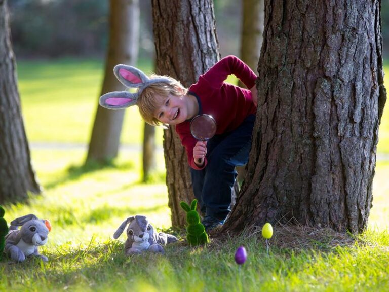 Easter Egg Trail