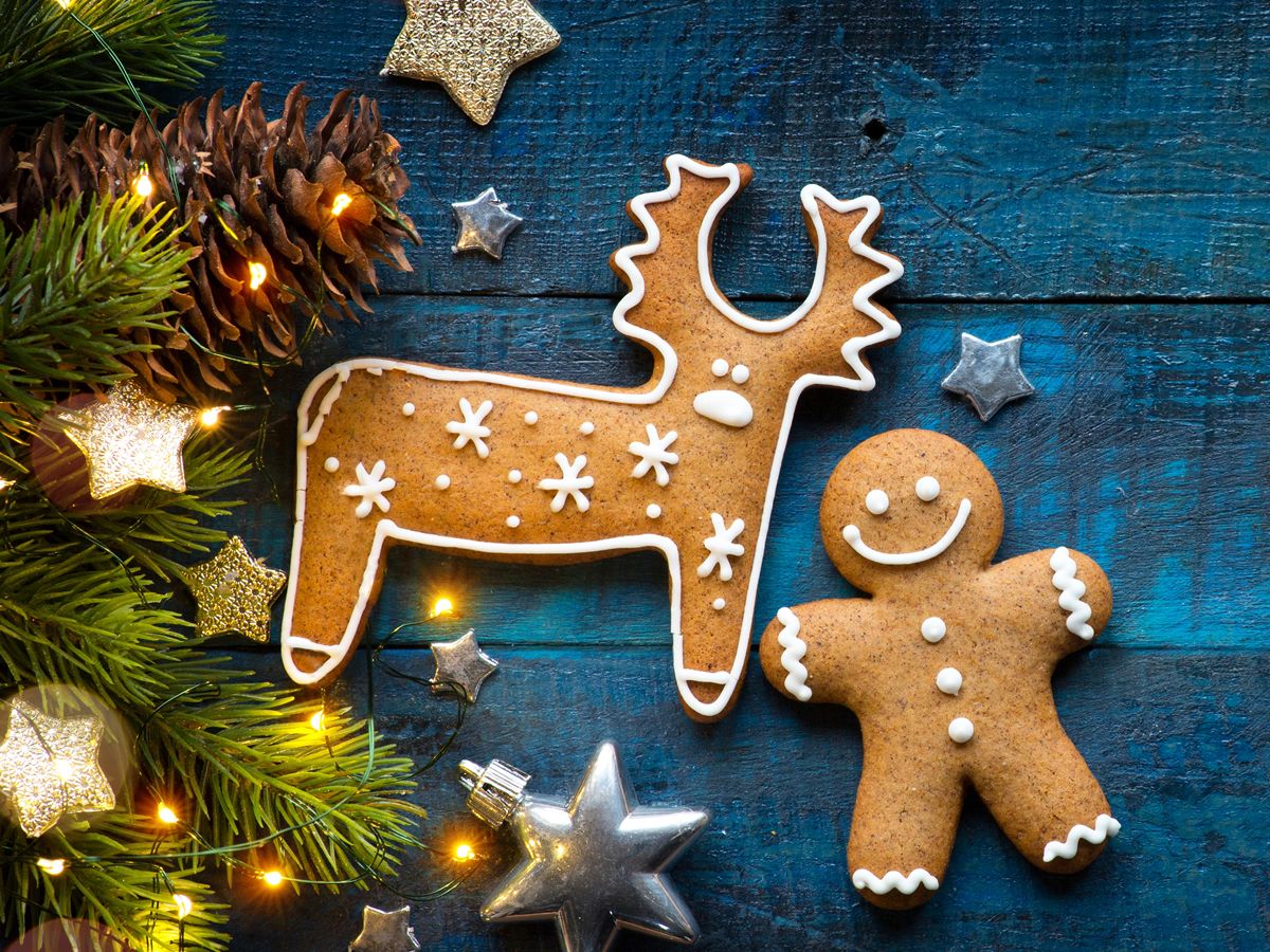 The Prince & Princess of Wales Hospice Christmas Fayre