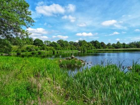Auchinlea Park - Seven wetlands