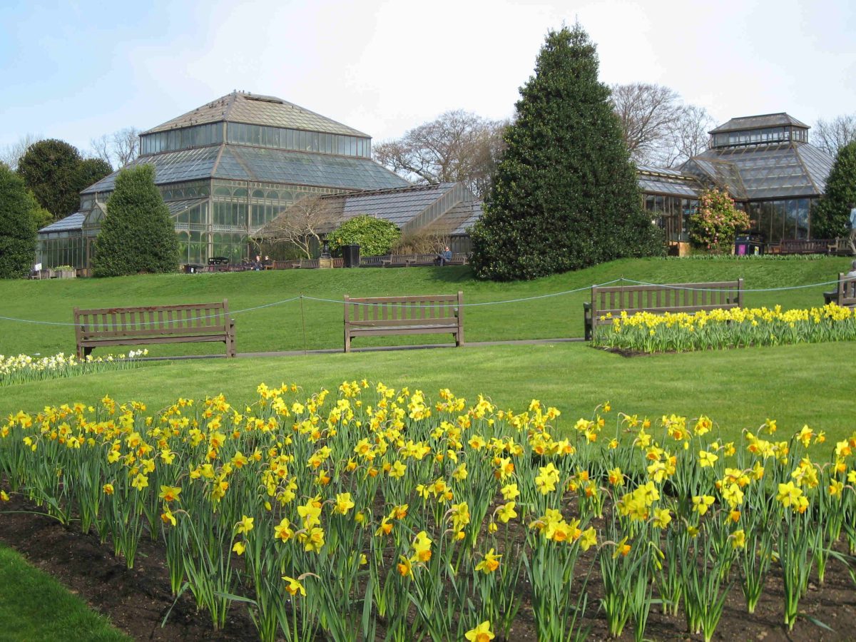 Botanic Gardens - main glass house