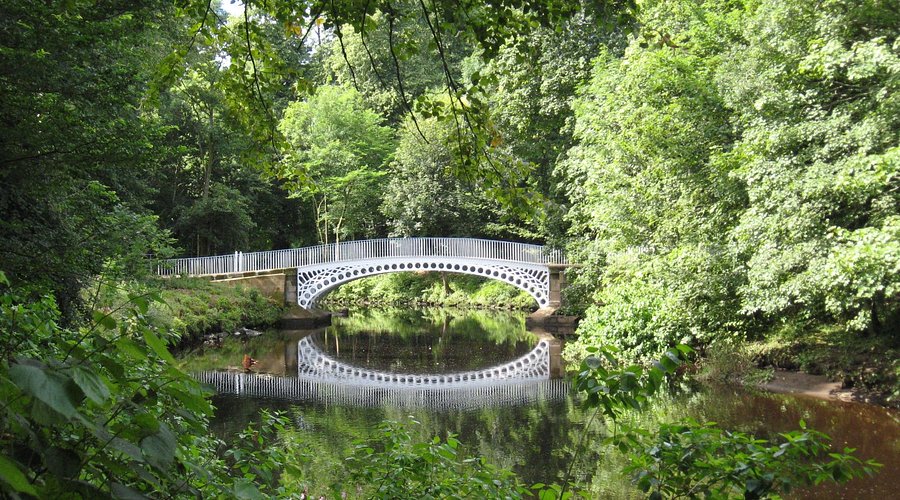 Linn Park - bridge