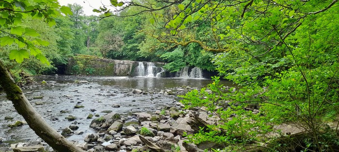 Linn Park - walks