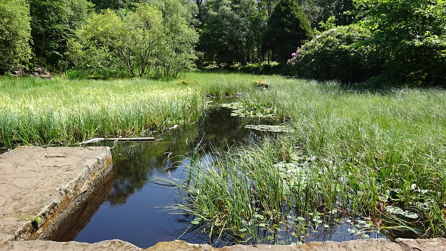 Mugdock Park - walks