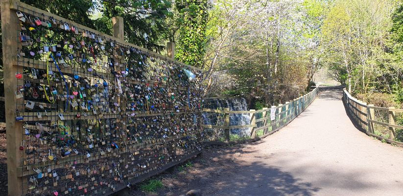 Rouken Glen Park - padlock bridge