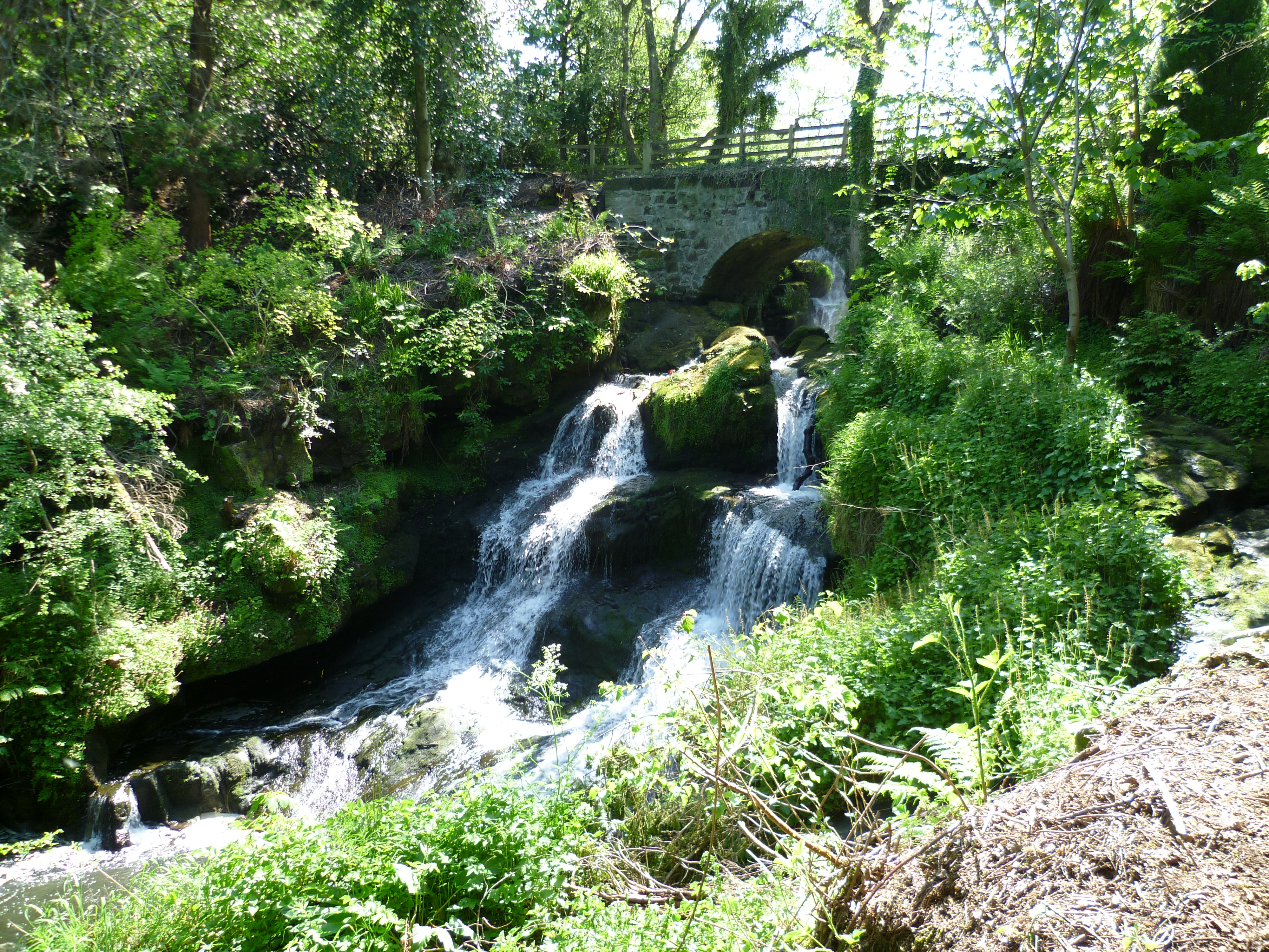 Rouken Glen Park - waterfall