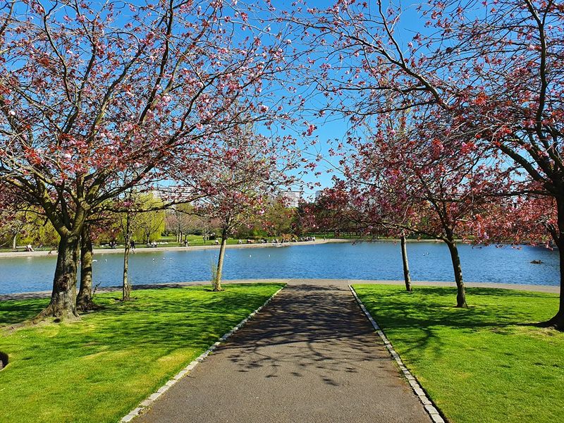 Victoria Park - pond