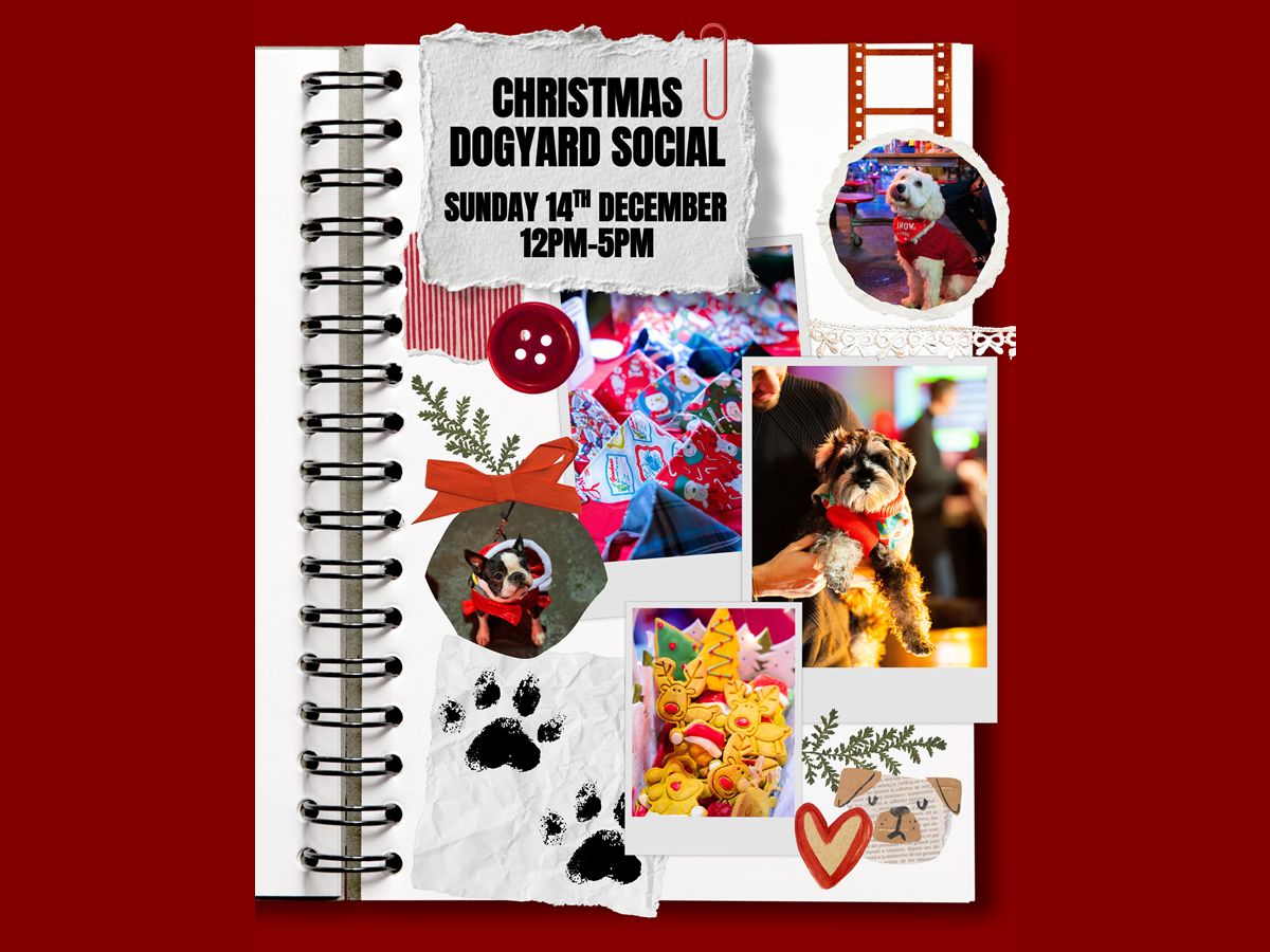 Christmas Dogyard Social
