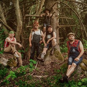 Steve N Seagulls