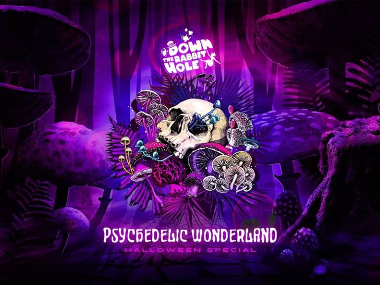 Down the Rabbit Hole