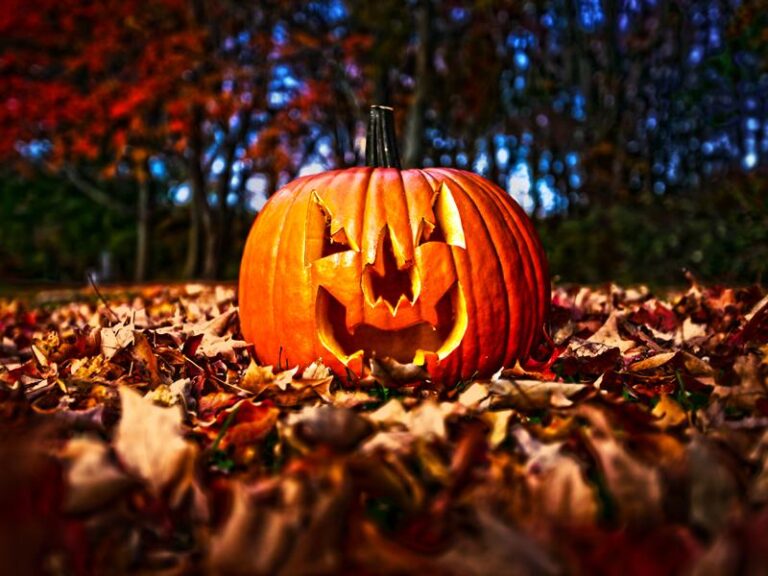 Will you go into the woods tonight